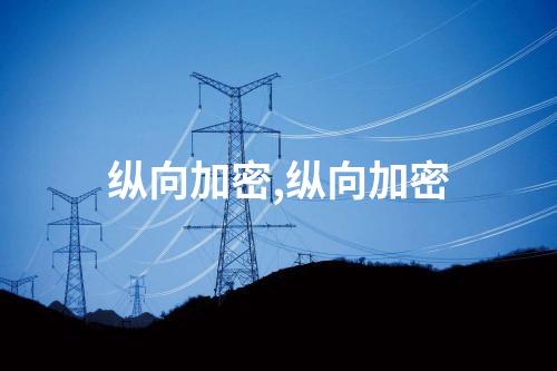 縱向加密